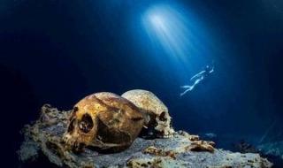 大鱼吃小鱼1 大鱼吃小鱼1