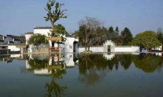 酒店管理与数字化运营 酒店管理与数字化运营